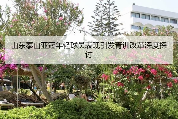 山东泰山亚冠年轻球员表现引发青训改革深度探讨